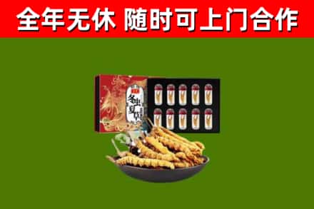 沁阳回收冬虫夏草价格