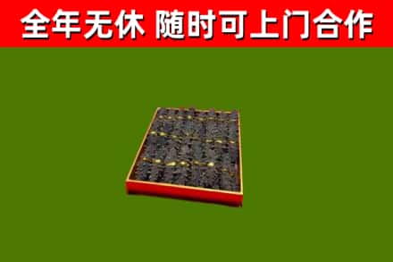 沁阳回收海参